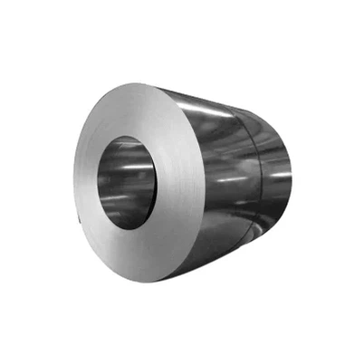 SUS 309S roestvrijstalen spoel