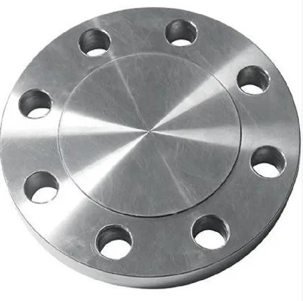 SUS 317L Stainless Steel Flange